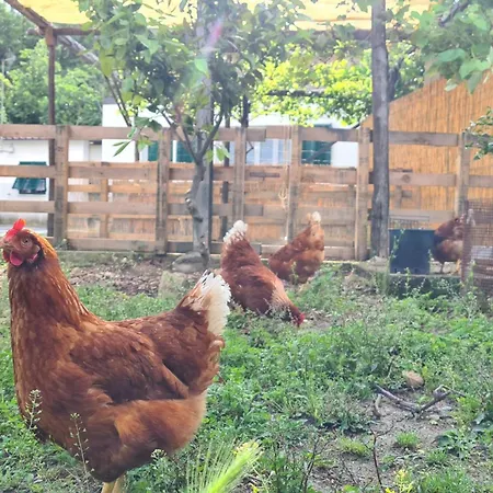 Feriehus Tra Mare E Campagna