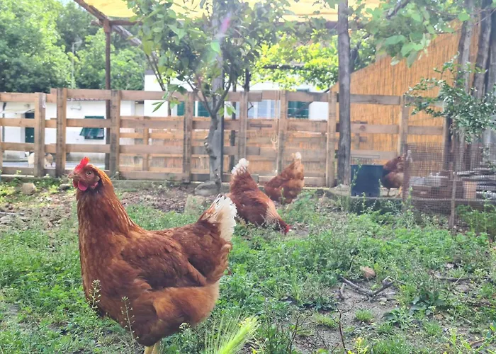 Сasa de vacaciones Tra Mare E Campagna
