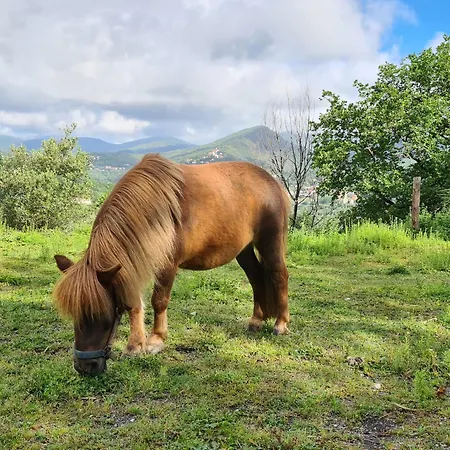 Tra Mare E Campagna 別荘 *
