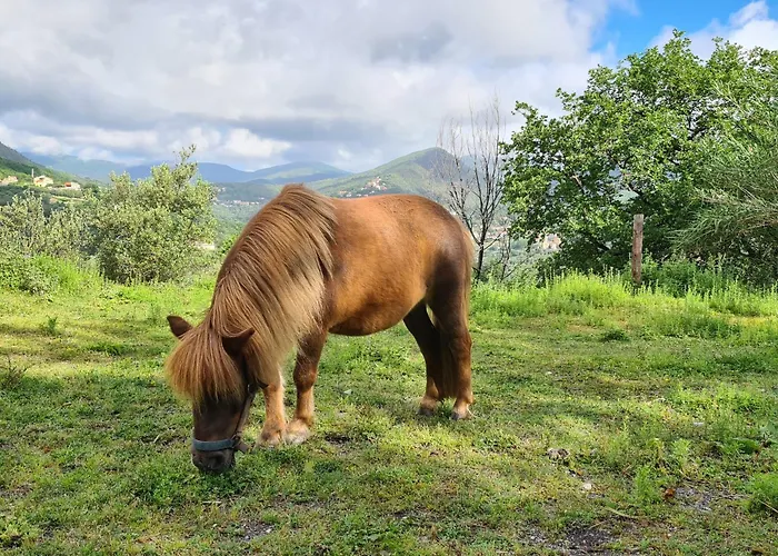 Tra Mare E Campagna Vakantiehuis *